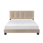 1350BR-1 Queen Platform Bed - 1350BR-1