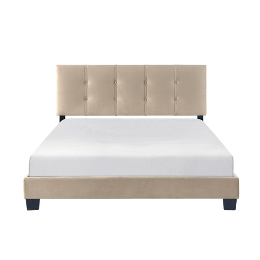 1350BR-1 Queen Platform Bed - 1350BR-1