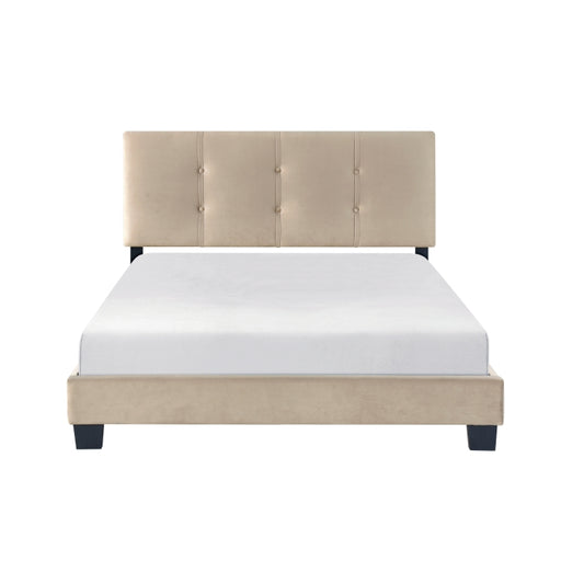 1350BRF-1 Full Platform Bed - 1350BRF-1