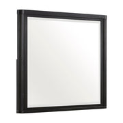 1381-6 Mirror - 1381-6