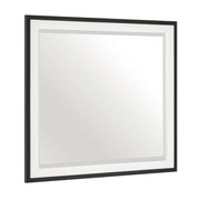 1456-6 Mirror - 1456-6