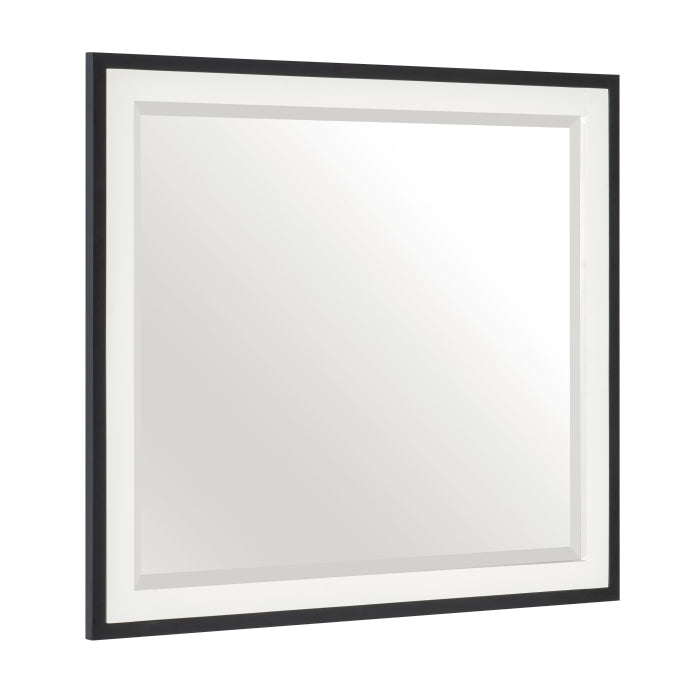 1456-6 Mirror - 1456-6