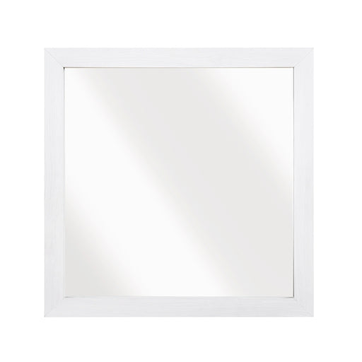 1534WH-6 Mirror - 1534WH-6