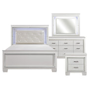 1916W-1*4 4pc Set (QB+NS+DR+MR) - 1916W-1*4