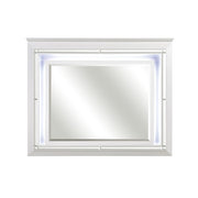 1916W-1*4 4pc Set (QB+NS+DR+MR) - 1916W-1*4