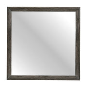 2145NP-6 Mirror - 2145NP-6