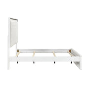 2390-1*9 5pc Set (QB+NS+DR+MR+CH) - 2390-1*9