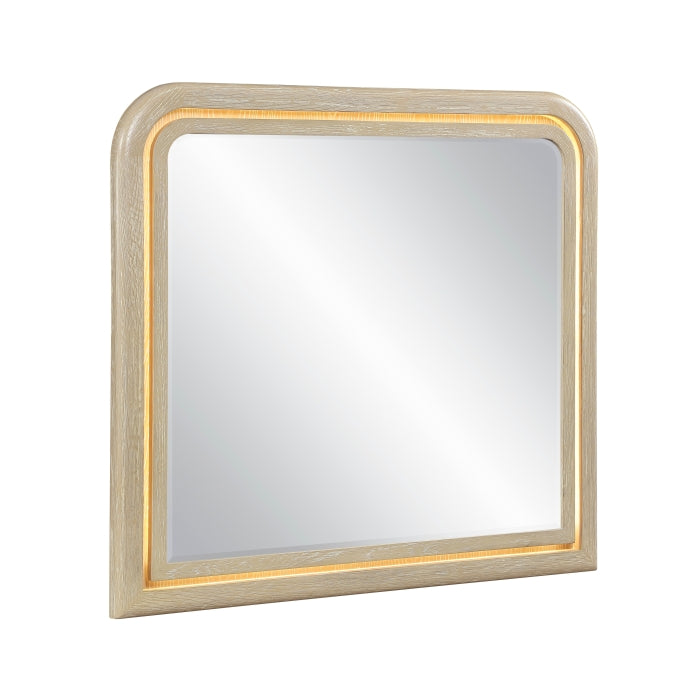 2500-6 Mirror - 2500-6