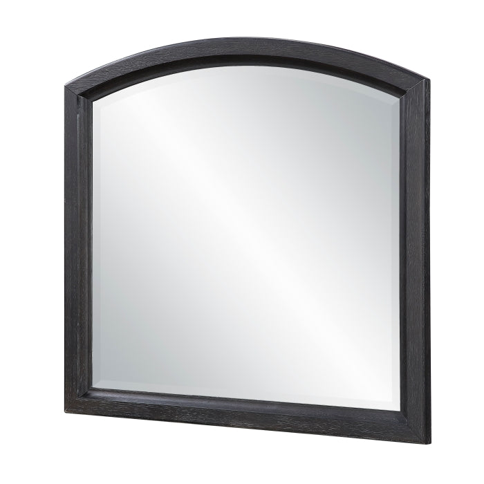 2510-6 Mirror - 2510-6