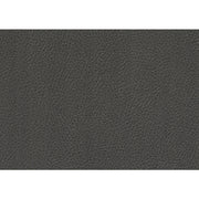 8228GY-1 Chair with Pull-out Ottoman - 8228GY-1