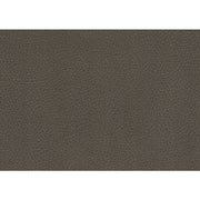 8228TP-1 Chair with Pull-out Ottoman - 8228TP-1