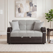 8429-2* (2)Love Seat with Pull-out Bed and Click Motion Back - 8429-2*