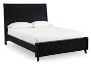 Danziar Black Panel Bedroom Set from Ashley - Luna Furniture