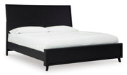 Danziar Black Panel Bedroom Set from Ashley - Luna Furniture