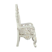 Adara Arm Chair (Set-2) - DN01231