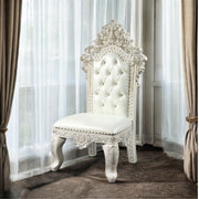 Adara Side Chair (Set-2) - DN01230