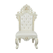 Adara Side Chair (Set-2) - DN01230