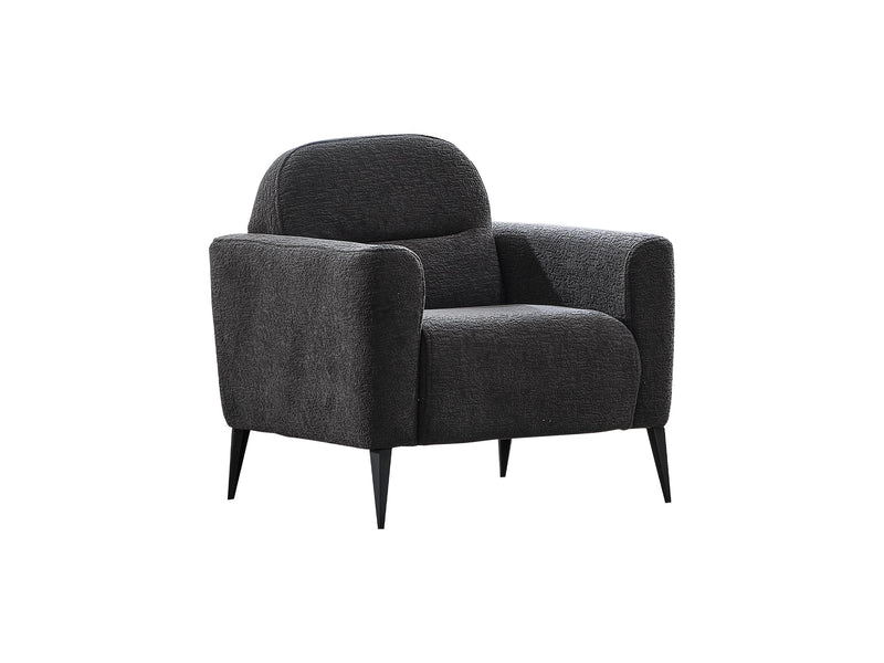 Adela 3-pieces (Sofa & Loveseat & Chair) Livingroom Set Anthracite in Anthracite - 101-ADE-ELI10-321