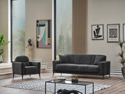 Adela 3-pieces (Sofa & Loveseat & Chair) Livingroom Set Anthracite in Anthracite - 101-ADE-ELI10-321