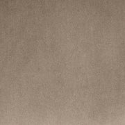 Alder Velvet Upholstered Accent Chair in Taupe - 699Taupe-C