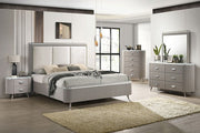 Aldridge Light Gray Mirror - FM7243GY-M