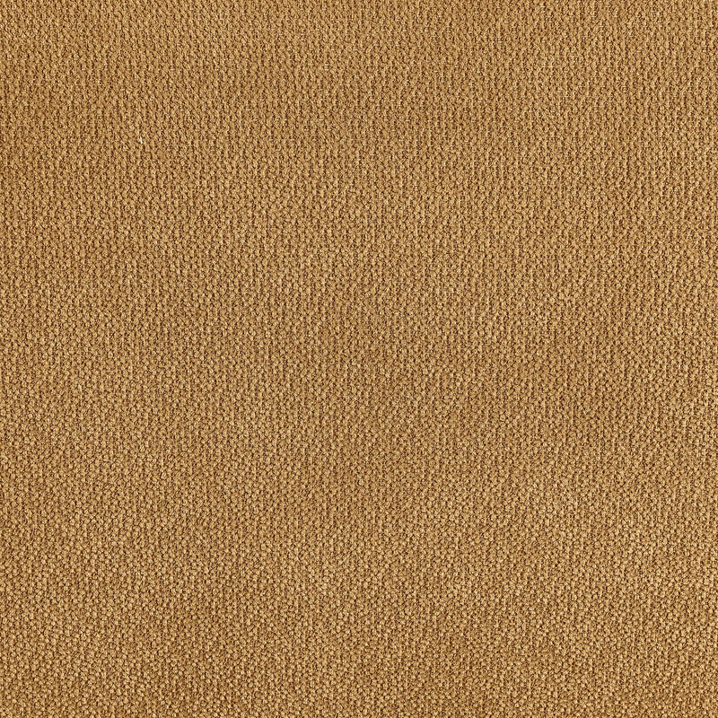 Aleisha Fabric Upholstered Accent Chair Mustard Yellow - 503063
