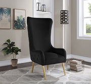Alexander Velvet Upholstered Accent Chair in Black - 536Black