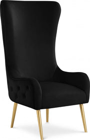 Alexander Velvet Upholstered Accent Chair in Black - 536Black