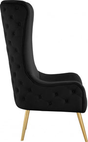 Alexander Velvet Upholstered Accent Chair in Black - 536Black