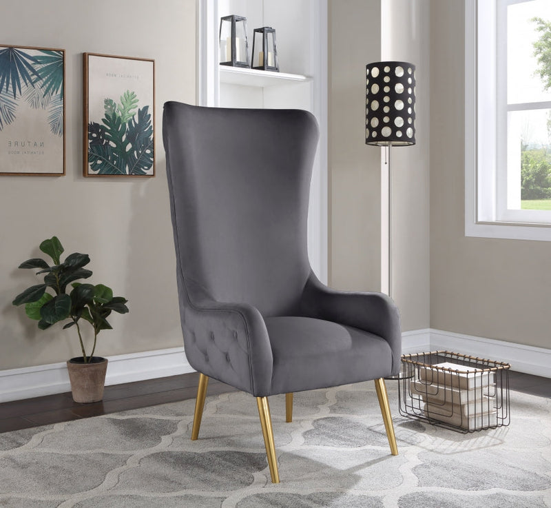 Alexander Velvet Upholstered Accent Chair in Grey - 536Grey