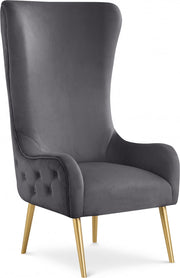 Alexander Velvet Upholstered Accent Chair in Grey - 536Grey