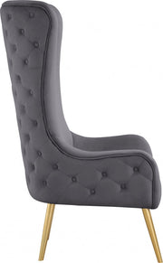 Alexander Velvet Upholstered Accent Chair in Grey - 536Grey