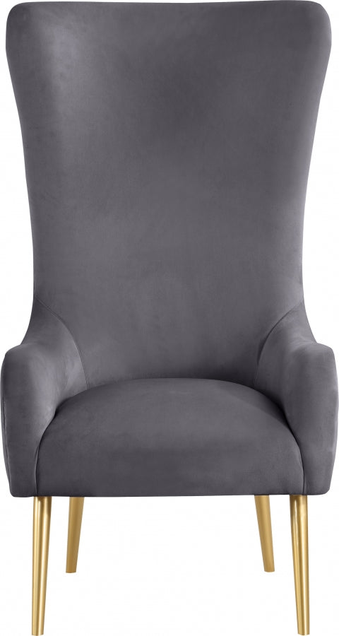 Alexander Velvet Upholstered Accent Chair in Grey - 536Grey