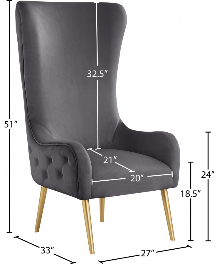 Alexander Velvet Upholstered Accent Chair in Grey - 536Grey