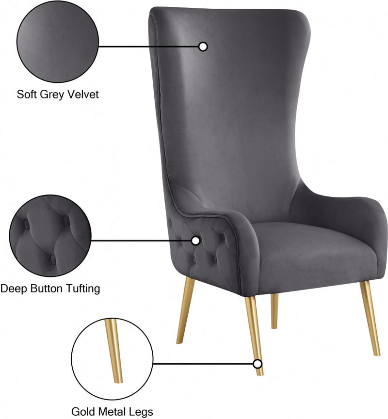 Alexander Velvet Upholstered Accent Chair in Grey - 536Grey