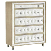 Antonella 5-piece Queen Bedroom Set Ivory  - 223521Q-S5
