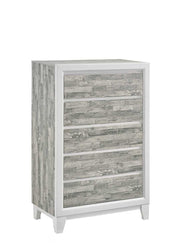 Arctic - Gray & White 5 Drawers Chest - B369-C