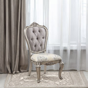 Ariadne Side Chair (Set-2) - DN02282