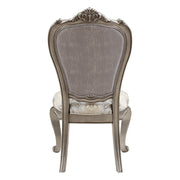 Ariadne Side Chair (Set-2) - DN02282