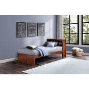 B2013BCDC-1* (2) Twin Bookcase Platform Bed - B2013BCDC-1*