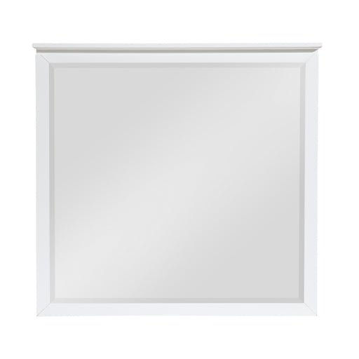 B2024WH-6 Mirror - B2024WH-6