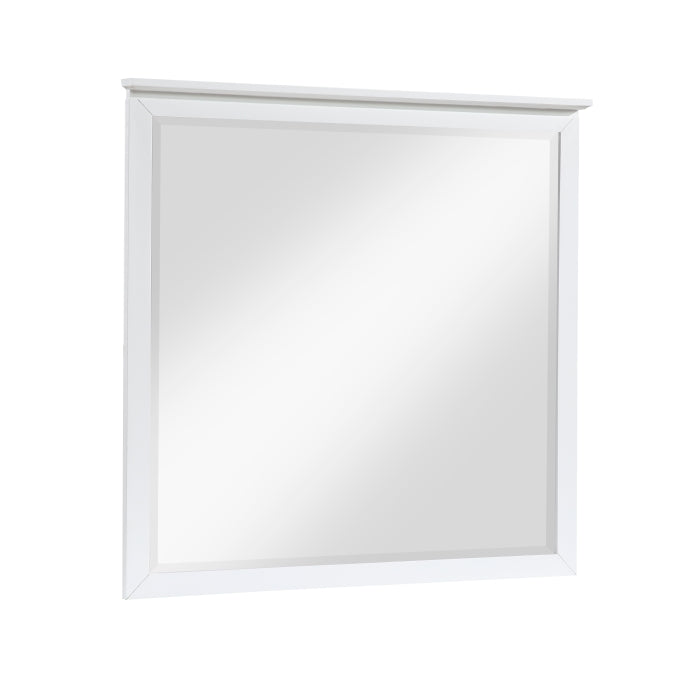 B2024WH-6 Mirror - B2024WH-6