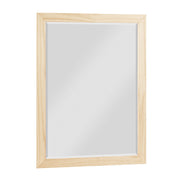 B2043-6 Mirror - B2043-6