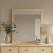 B2043-6N Mirror, Wide - B2043-6N