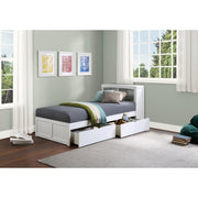 B2053BCW-1T* (3) Twin Bookcase Platform Bed with Storage Boxes - B2053BCW-1T*