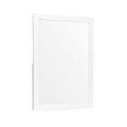 B2053W-6 Mirror - B2053W-6