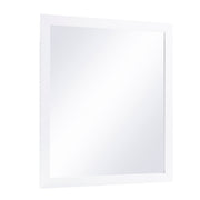 B2053W-6N Mirror, Wide - B2053W-6N