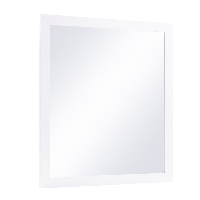 B2053W-6N Mirror, Wide - B2053W-6N