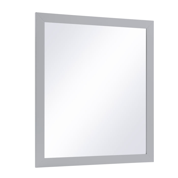 B2063-6N Mirror, Wide - B2063-6N