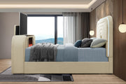 B848 - Evalyn Beige Queen Bed W/ TV Stand & Fireplace (Beige) - B848-Queen